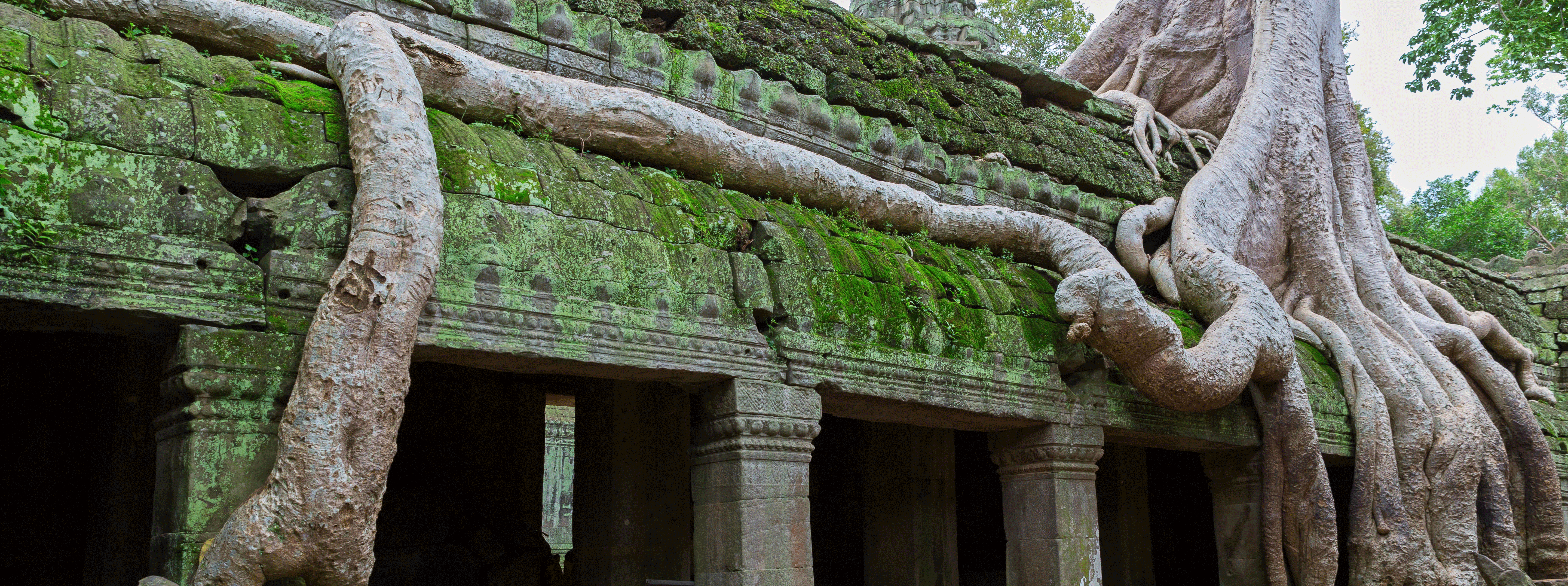 /resource/Images/Indochina/cambodia/headerimage/Jungle-covered-Temple-of-Ta.png