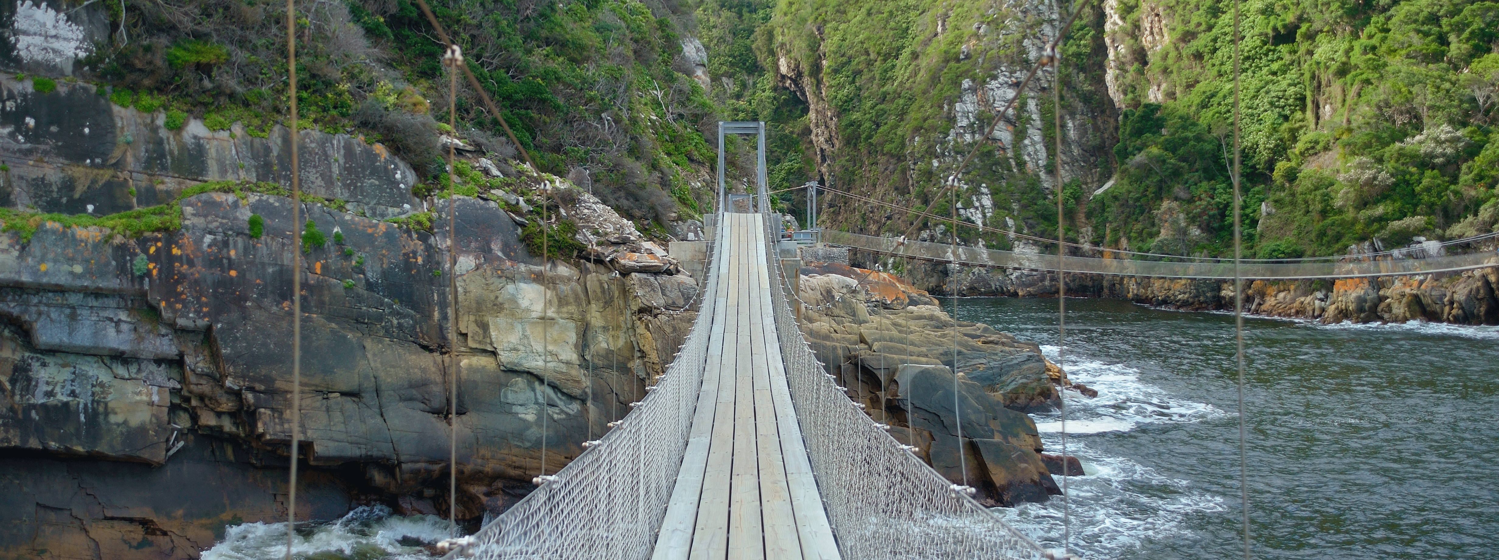 /resource/Images/southafrica/headerimage/Bridge-in-Tsitsikamma-national-park-Garden-route-South-Africa.png