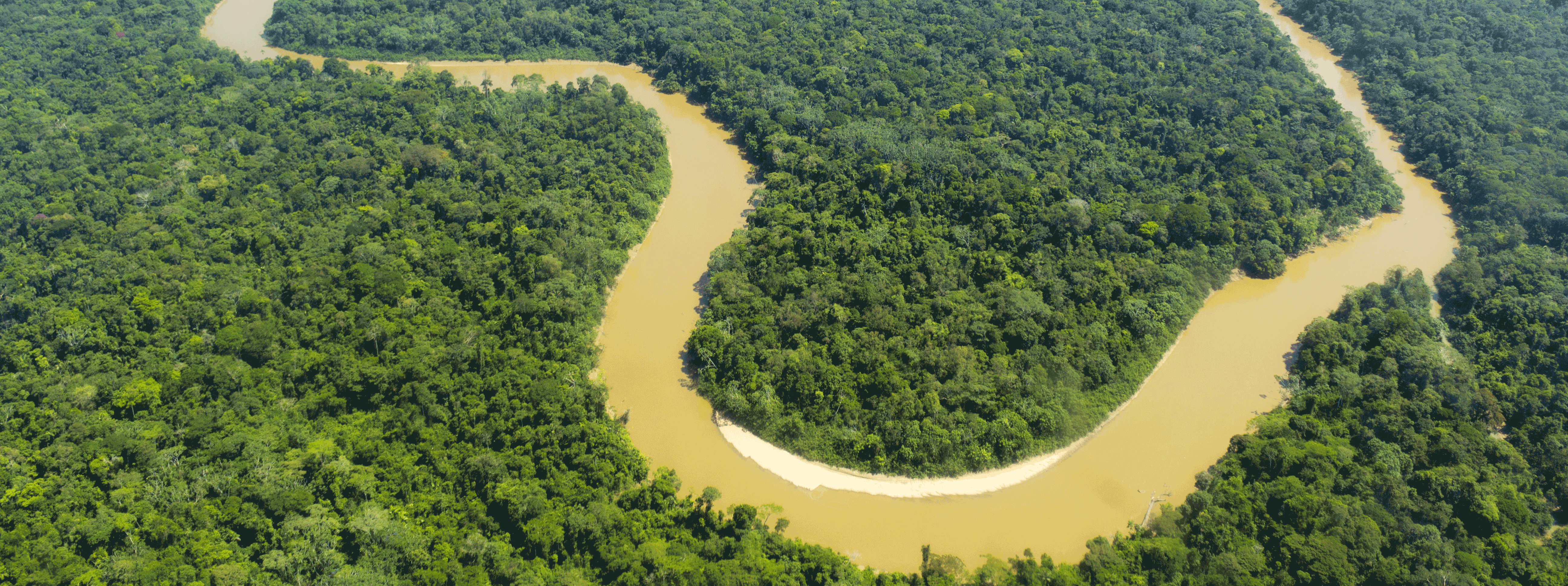 /resource/Images/southamerica/ecuador/headerimage/The-Cononaco-river-in-the-Ecuadorian-Amazon.png
