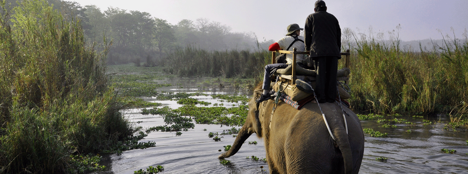 /resource/Images/southernasia/india/headerimage/Elephant-safari-in-Chitwan-National-Park.png