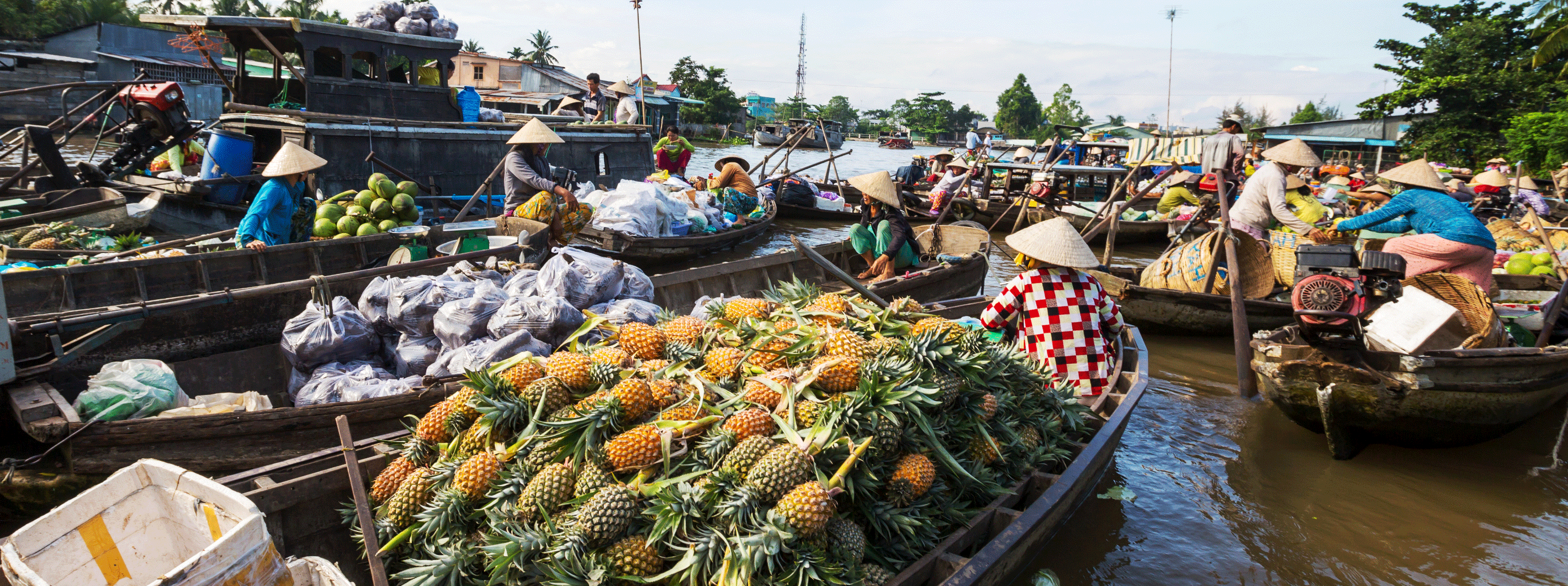 /resource/Images/Indochina/headerimage/Fruit-Boat-Mekong-delta.png