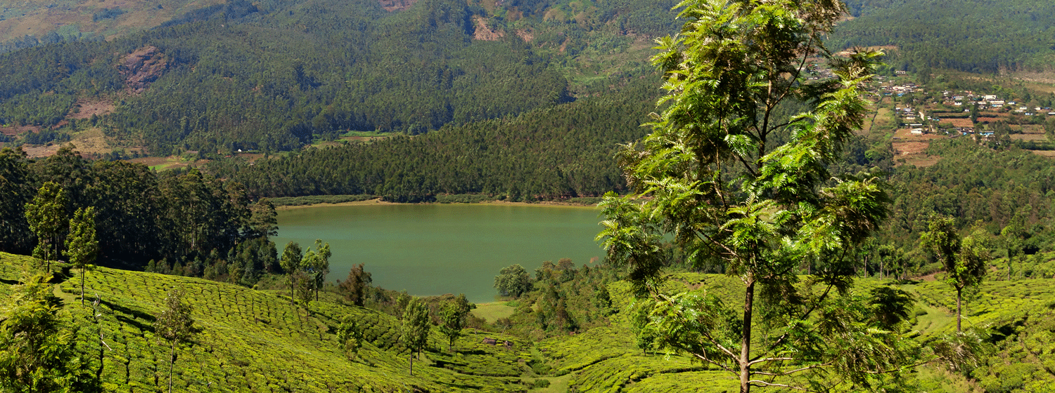 /resource/Images/southernasia/india/headerimage/Madupetty-Dam-in-Munnar-Kerala.png